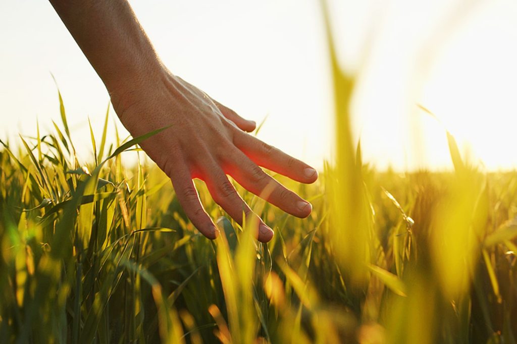 Synergy – Giving Back What Nature Has Given