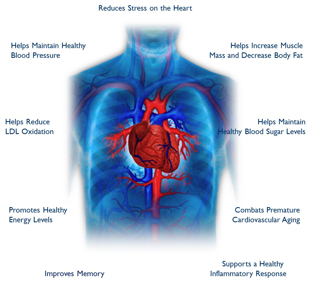 proargi9-circulation-benefits