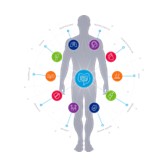 Gut Health