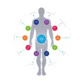 Gut Health