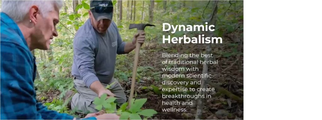 Synergy – Experts in Dynamic Herbalism